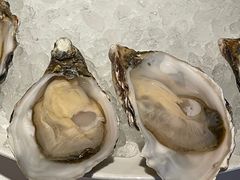 -Oyster Talks 四度蚝法餐厅