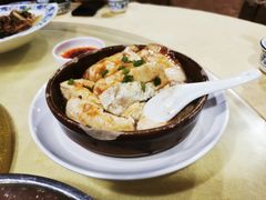 -鲤鱼塘农家山庄