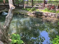 -五女山景区