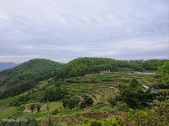 -乌石村