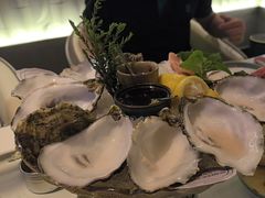 -普朗姆生蚝牛排馆 The Plump Oyster(成都摩方购物中心店)