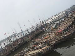 -日照世帆赛基地