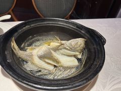 油盐焗海立鱼-百味馆·粤菜·湛江菜(后海花园店)