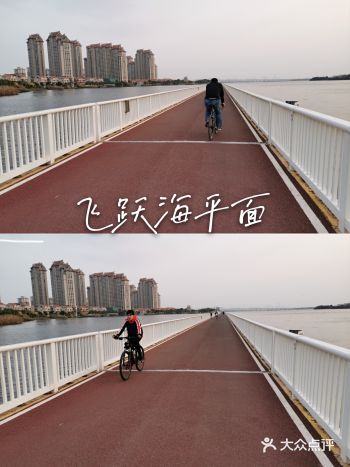 飞跃大海的感觉,快来厦门海上自行车道骑行体验吧