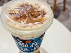 -猫儿山۰猫主题餐厅
