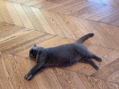 -Me Coffee下午茶艺术空间