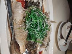 -陶陶居酒家(新天地店)