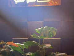 -圆苑(金茂店)