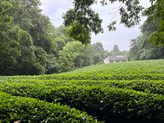 -敬亭山风景名胜区