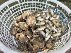 -四海鲜渔家菜(黄金海岸店)