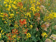 -中国天府农业博览园