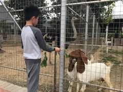 -迪茵湖田家舍生态农场