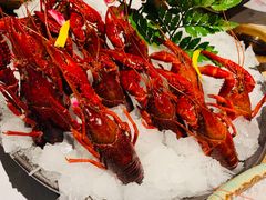 冰镇小龙虾-芥末日本料理(打浦路铂尔曼旗舰店)