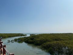 -北海金海湾红树林生态旅游区
