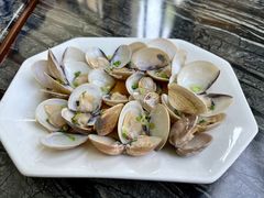 清蒸沙白-金海湾嘉华度假酒店·海天阁中餐厅