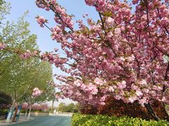 -郑州方特梦幻王国