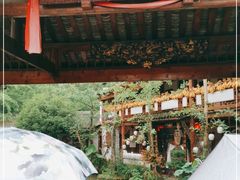 -青城甲(青城山店)