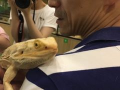 -藦茜花园宠物主题亲子互动体验馆(国顺东路店)