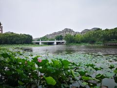 -新江湾城公园