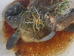 -马帮菜馆·美味野生菌