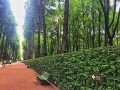 -滴血救世主教堂