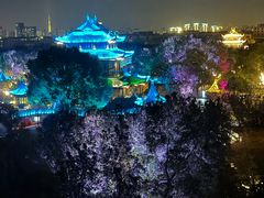 -苏州吴宫泛太平洋酒店
