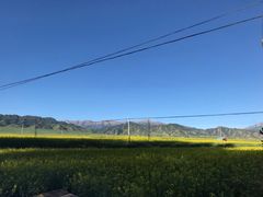 -扁都口生态休闲旅游区