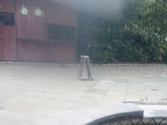 -碧水湾温泉