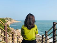 -广东惠东海龟国家级自然保护区