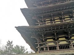 -北京世界公园