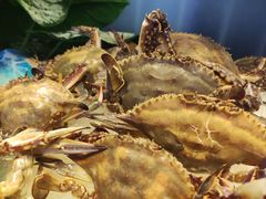 -千家粗粮王(MOMOPARK店)