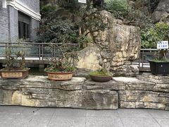-老幺泉水鸡