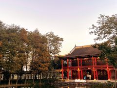 -顺峰山公园