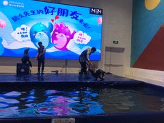 -Mr·Kuma酷么先生雪之乐园