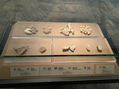 -烟台市博物馆