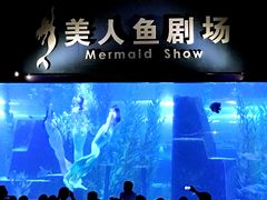 -皇家极地海洋世界-售票处