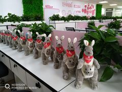 -好孕妈妈月嫂(哈尔滨总店)