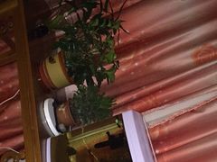 -宝鸡东道花鸟鱼虫市场(吉利花园商场店)