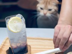 -花与咖啡馆(金星楼店)