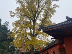 -金堂县云顶石城风景区