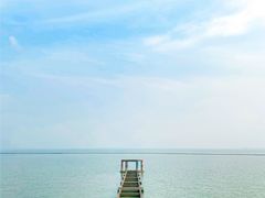 -贡湖湾湿地公园