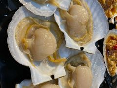 特大扇贝.-南浦洞·炭烤活海鲜·烤肉·延边特色(学府街店)