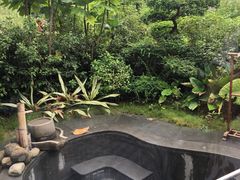 -龙山酒店温泉