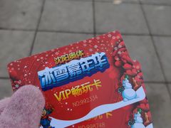 -沈阳奥体冰雪嘉年华