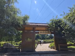 -黑龙江省森林植物园