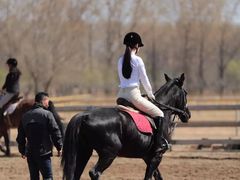 -月河湾马术俱乐部(朝阳店)