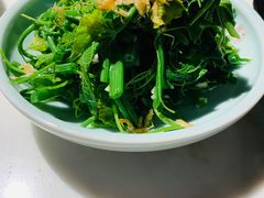 丝瓜尖-小吊梨汤·北京菜·烤鸭(鸟巢店)