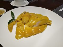 湛江白切鸡-潮舍(环球金融中心店)
