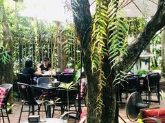 -Fern Forest Cafe