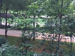 -湖泉水云间餐厅·弥勒地道菜(B座店)